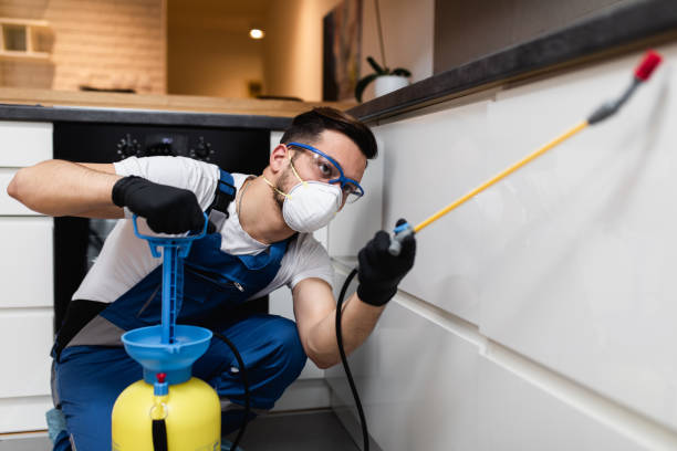 Best Termite Control Services  in Waco, TX