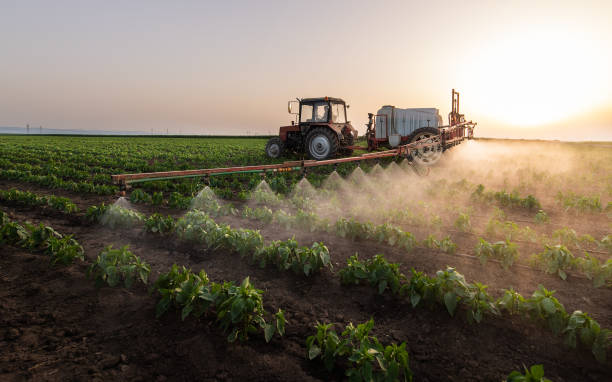 Best Best Pest Control Companies  in Waco, TX