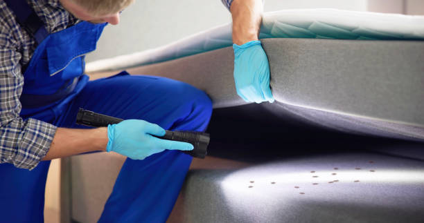 Best Affordable Pest Control Services  in Waco, TX