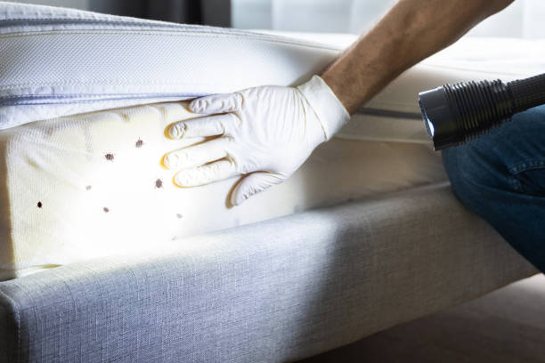 Waco, TX Pest Control Company