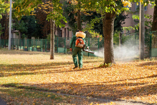 Pest Control for Restaurants in Waco, TX