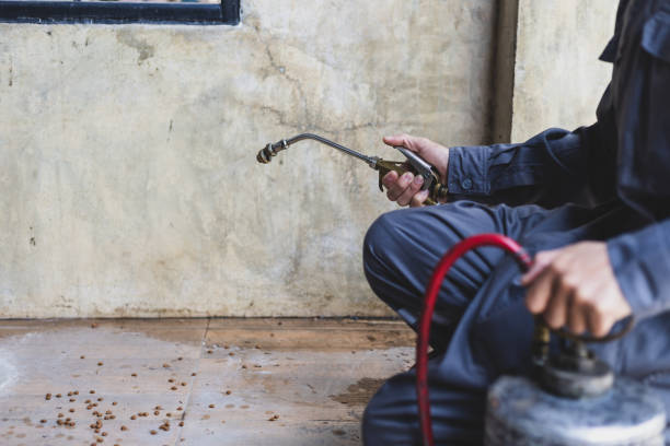 Best Commercial Pest Control Services  in Waco, TX