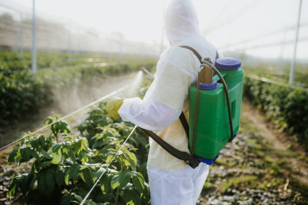 Best Exterminator Services  in Waco, TX